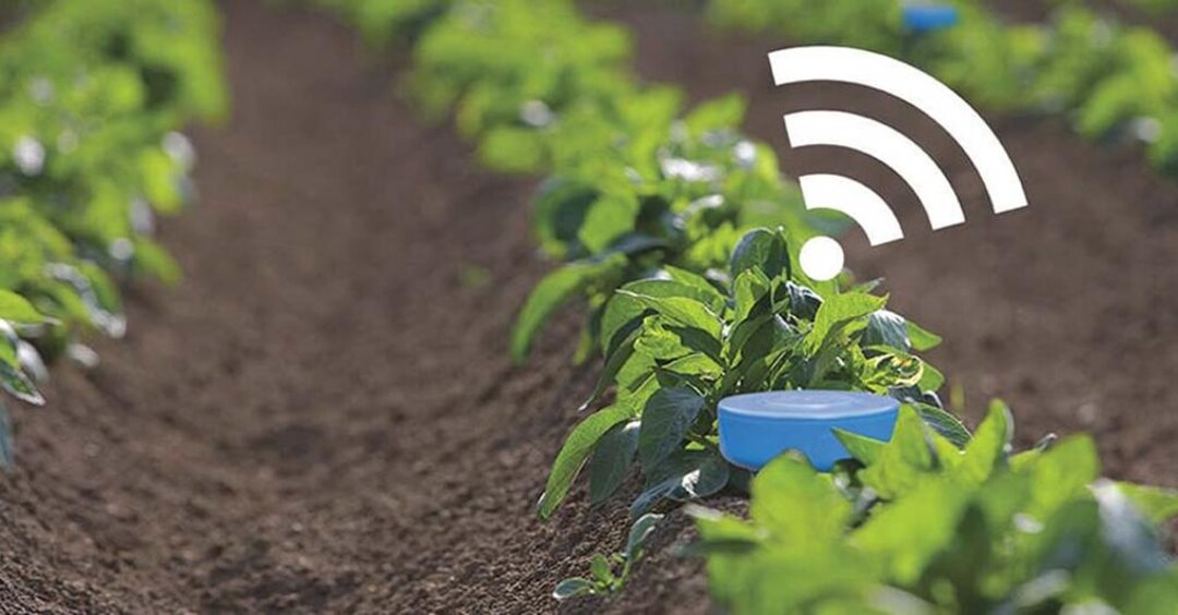 Smart metering, agricoltura, Covid: al decollo l'Iot a basso consumo - Il  Sole 24 ORE
