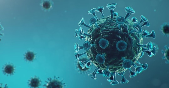 covid 19 gli anticorpi durano per almeno 8 mesi dopo infezione il sole 24 ore