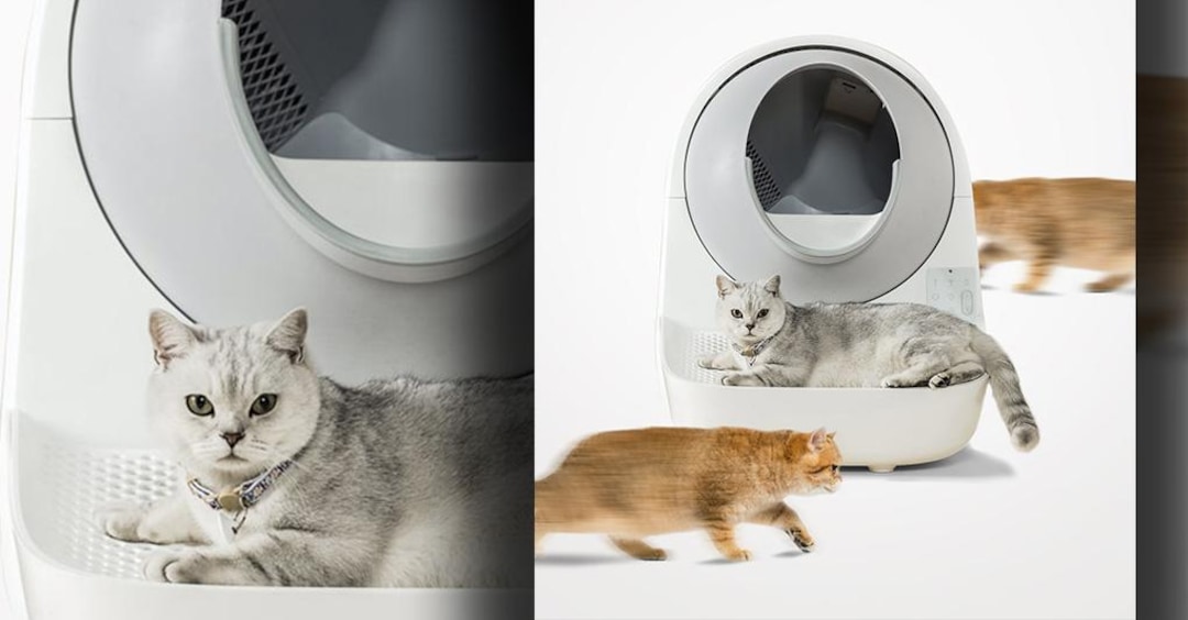 Dispositivi smart per cani e gatti 