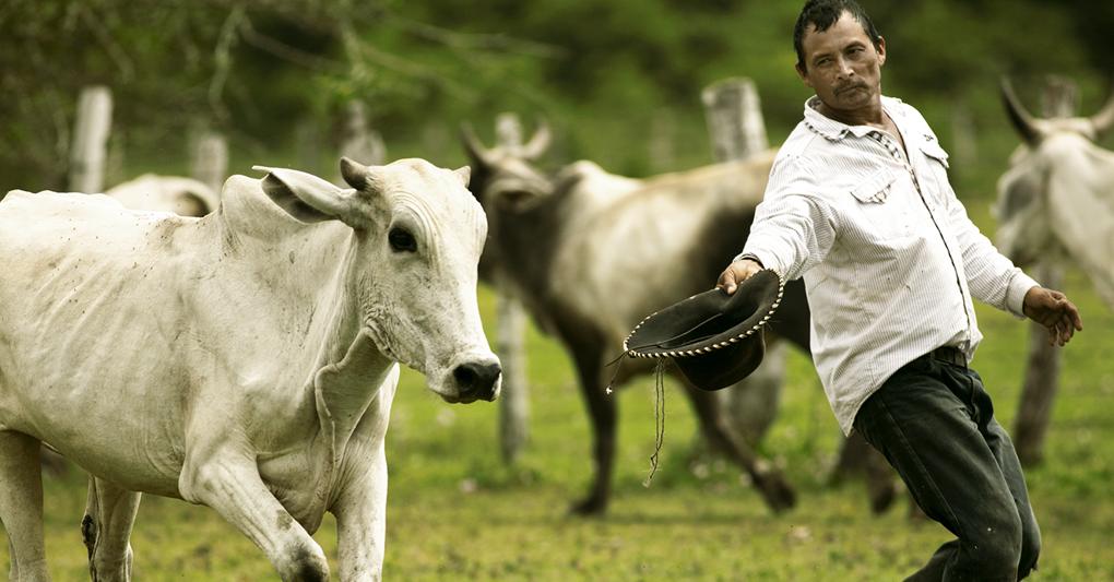 I cowboy del Corocora Camp 