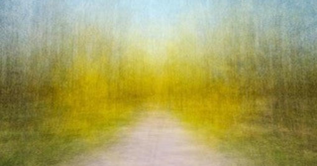 Eeva Karhu, Path (Moments) Spring 4, 2021, archival pigment print framed. Courtesy of the artist and Persons Projects. © the artist 
