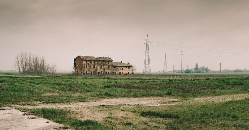 (Adobe Stock)
