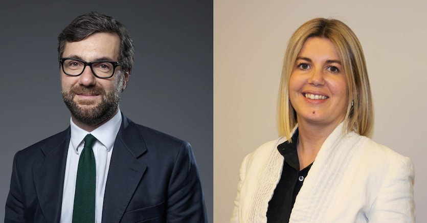 Andrea Giannelli, Linda Taylor