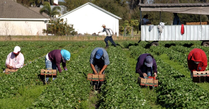 Agricoltura. È il settore che ottiene le prime facilitazioni nella gestione dei flussi