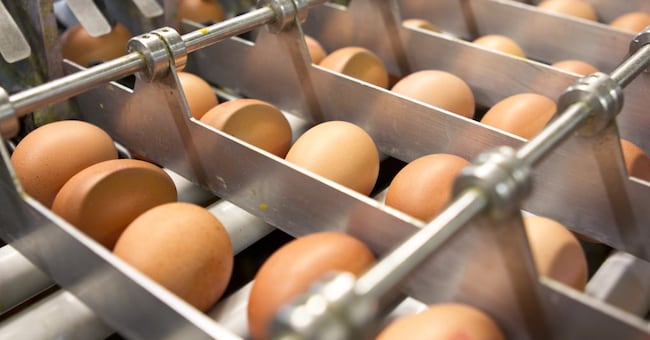 (spflaum - stock.adobe.com)