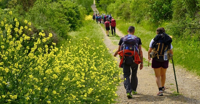 Escursionisti lungo la via Francigena.  Si torna a viaggiare a piedi, come viandanti o pellegrini.  