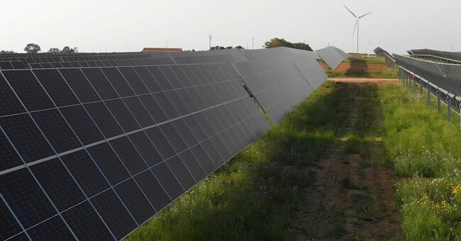 Inaugurazione. Engie ha inaugurato in Sicilia il primo parco agrivoltaico di grandi dimensioni realizzato in Italia