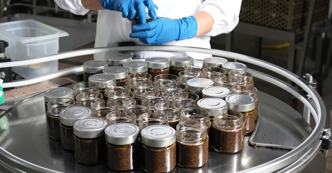 Proiezione internazionale. Il Centro Tartufi Molise commercializza in 15 Paesi