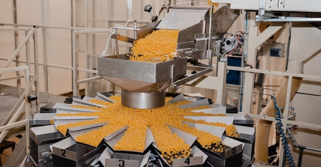 Produzione automatizzata. Una fase di lavorazione nel pastificio di Food service che produce la Pasta Lori