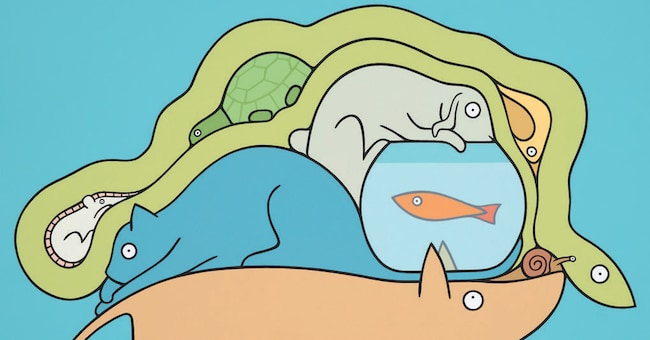 Illustrazione di Massimo Caccia