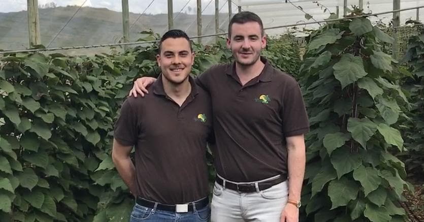 Alexander Feulner e Gabriele Farinelli, i due soci che nel 2012, appena  20enni, hanno dato vita partendo da zero al progetto imprenditoriale che in un anno si è concluso con la nascita di  Agricolli Bio, azienda specializzata nella produzione del kiwi biologico