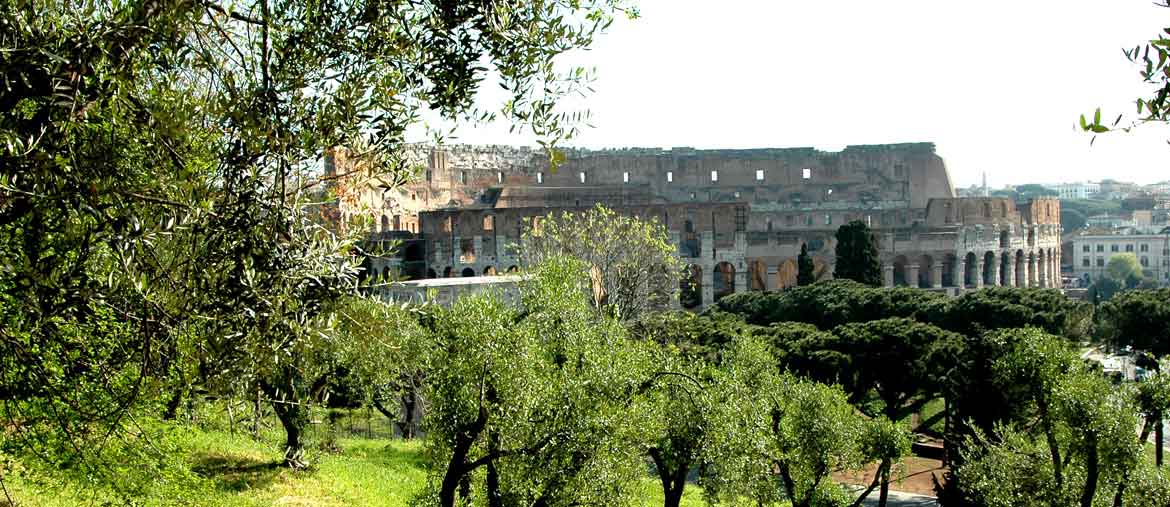 Roma Il Colosseo In Mostra Il Sole 24 Ore