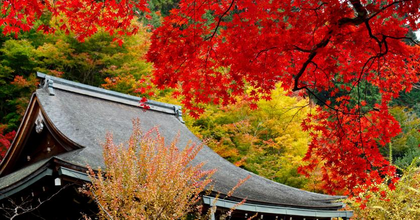 Clima Mite Prezzi Bassi E Natura Al Top Il Giappone E La Meta D Autunno Il Sole 24 Ore