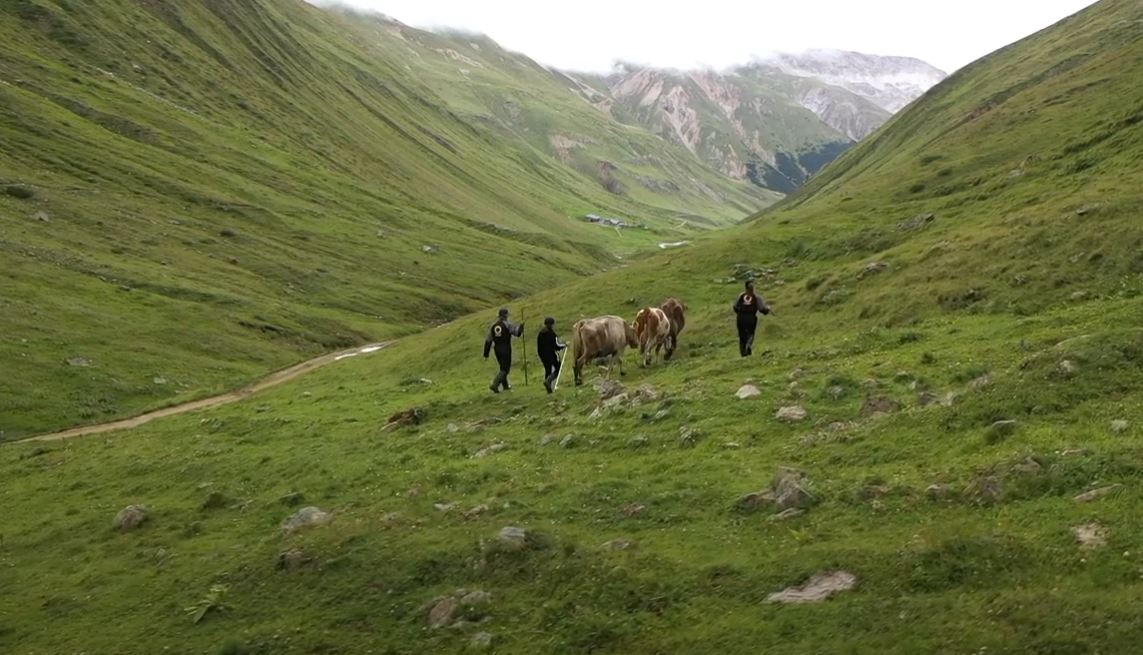 La Stalla Lombarda Mobili.Contadino In Montagna Da Livigno All Alto Adige Anche Questa E Vacanza Il Sole 24 Ore