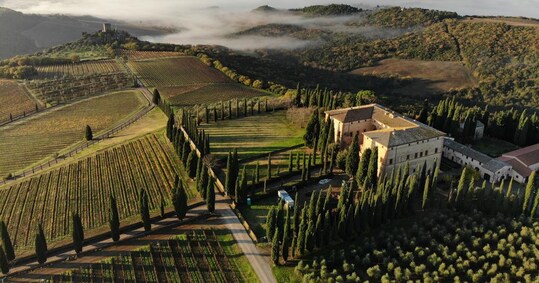 Montalcino, la tenuta Argiano di nuovo protagonista al cinema ...