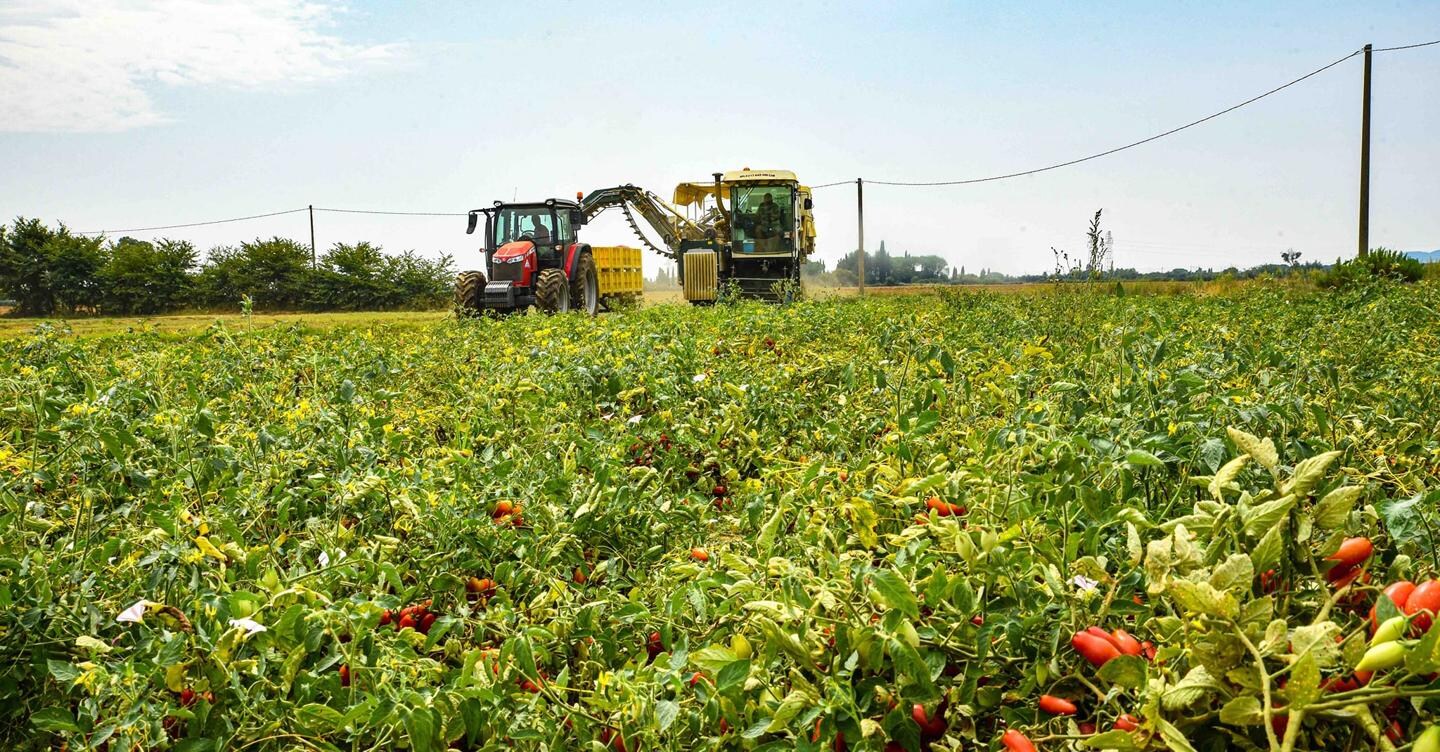 L'agricoltura nella delega fiscale in diretta sul sito del Sole 