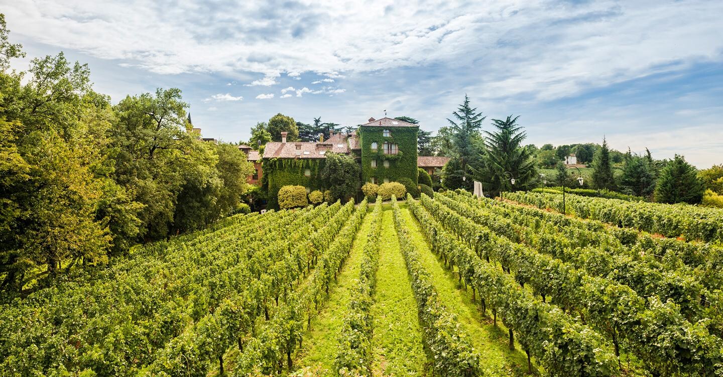 Weekend in mezzo ai vigneti: tra degustazioni, massaggi e vinoterapia
