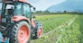 Tractor on an agriculture field, cut out