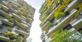 Green plants on the balcony of several apartments in a big city