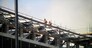Builders on a construction site