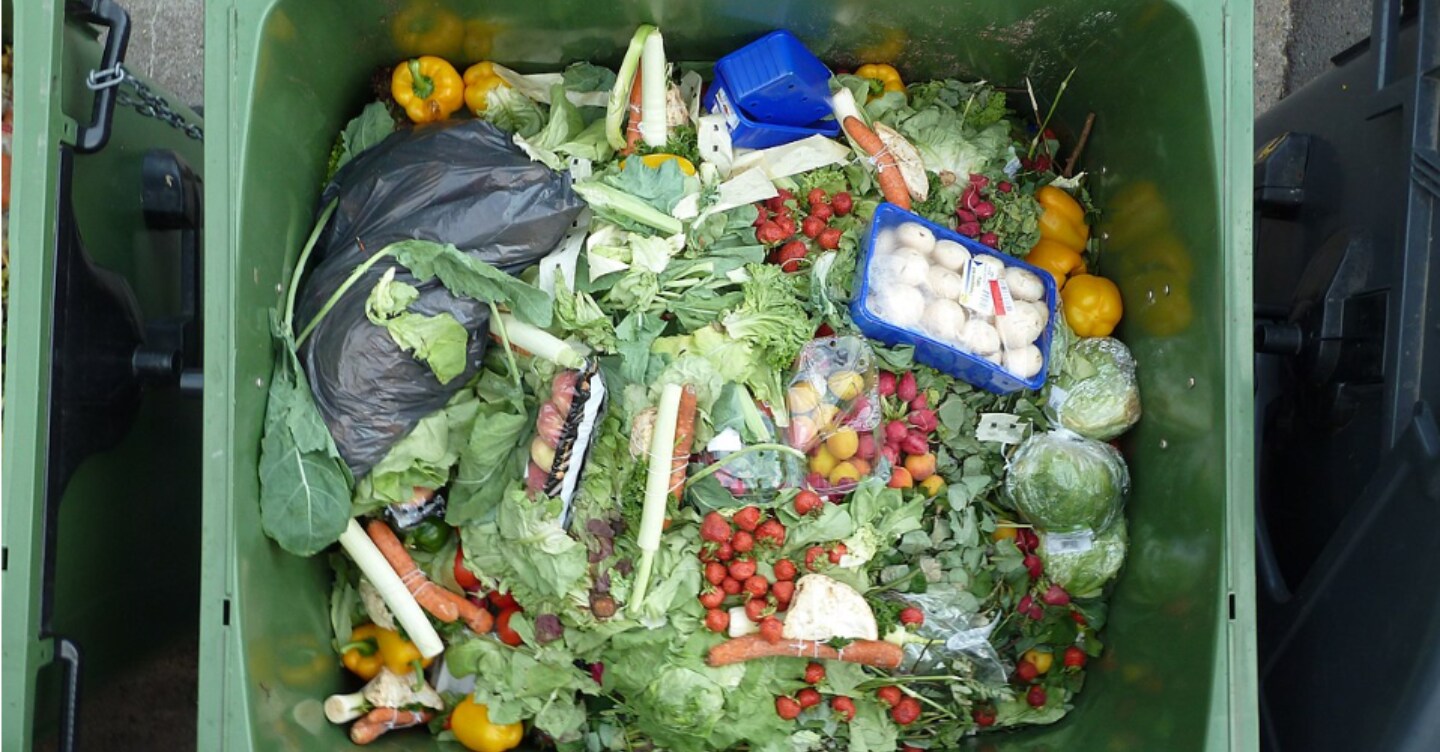 Sostenibilità, 9 italiani su 10 stanno attenti allo spreco di cibo