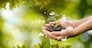 Hand planting trees with technology of renewable resources to reduce pollution ESG icon concept in hand for environmental, social and sustainable business governance.