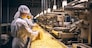 AZIENDA INDUSTRIA PRODUTTRICE PRODUZIONE PASTA DI SEMOLA E PASTA ALL' UOVO GENERATE AI