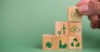 wood cube block icon net zero carbon credit and eco energy green technology on green background.