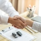 Loss Adjuster Insurance Agent Inspecting Damaged Car. Sales manager giving advice application form document considering mortgage loan offer for car  insurance.