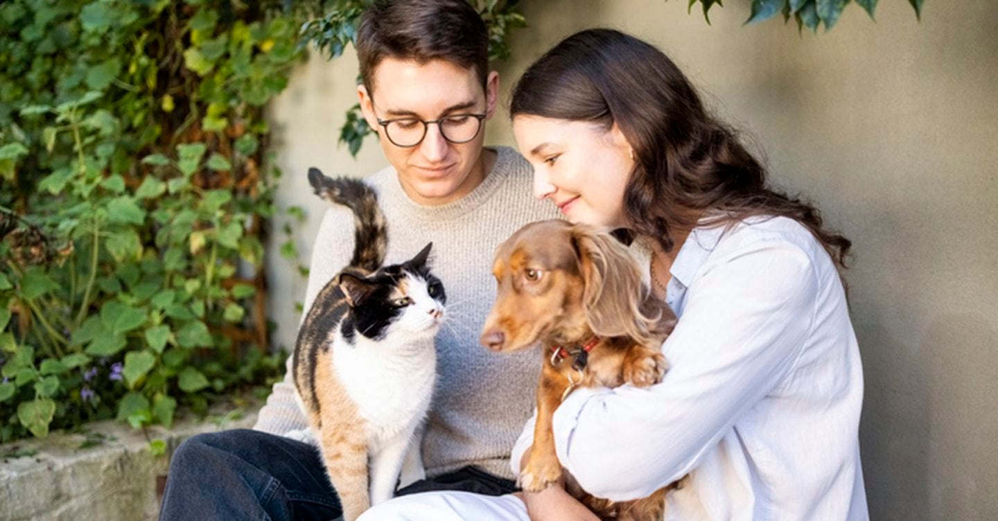 Innovazione continua per il benessere dei pet: il racconto di Purina