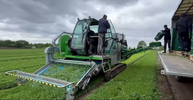 Hortech, Ventum