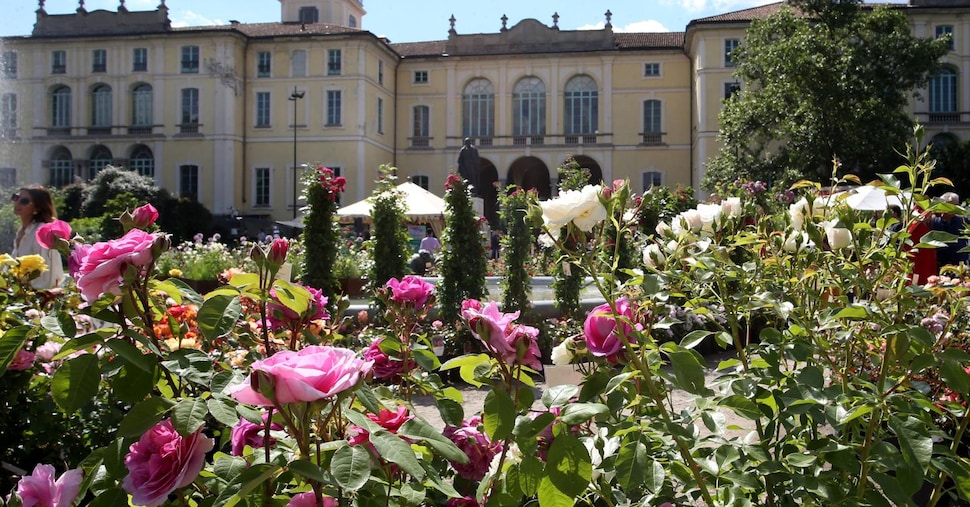 Horticultural: riot of flowers and plants in Milan