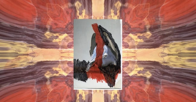 Cloud cloudy glory doodles on the leaves pages, memory slowly the story redness sadness bloody redness on the skin” (2020), di Julien Creuzet, artista che espone al padiglione francese. ©Julien Creuzet