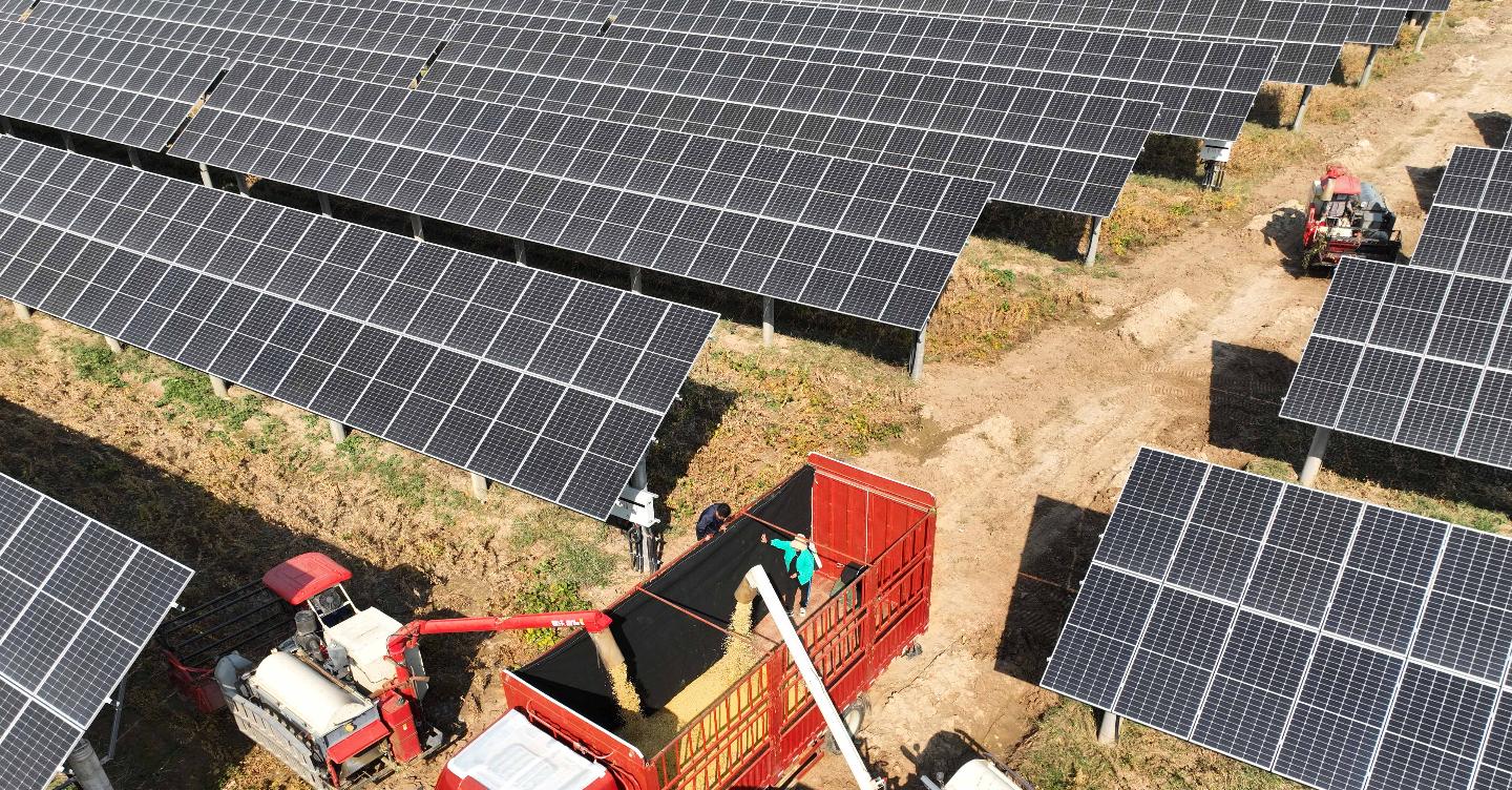 Nuove regole per l’installazione di pannelli solari nei campi: chi può procedere e chi no