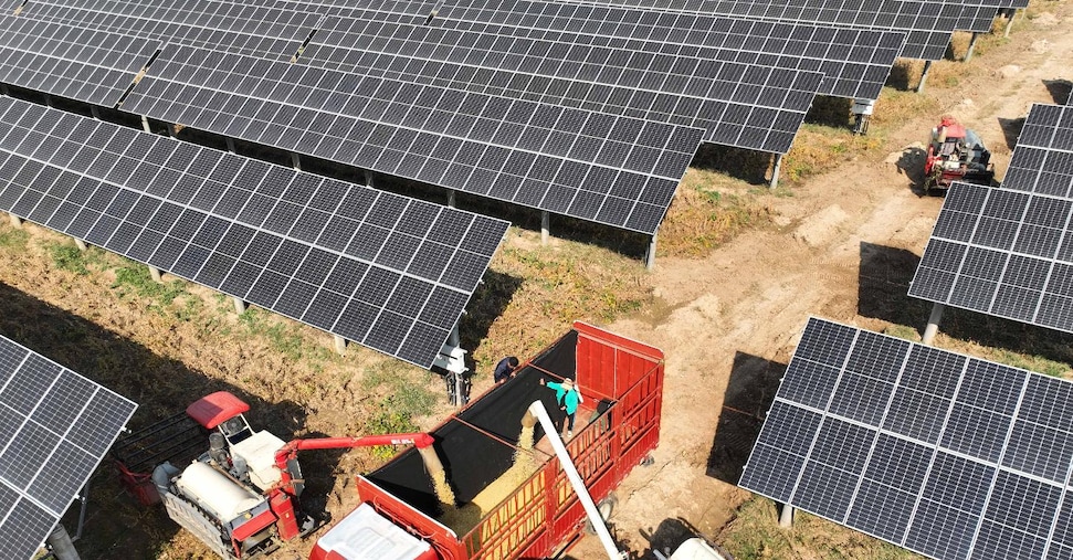 Si allentano i limiti ai pannelli solari nei campi: ecco chi potrà andare avanti e chi no
