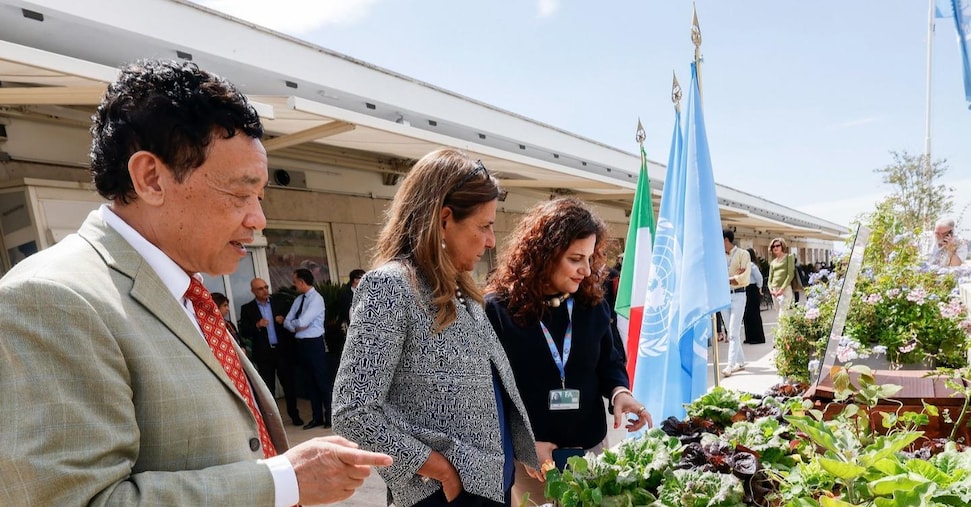 Acqua del rubinetto e luce solare, la rivoluzione idroponica di Fao e La Sapienza Acqua del rubinetto e luce solare, la rivoluzione idroponica di Fao e La Sapienza