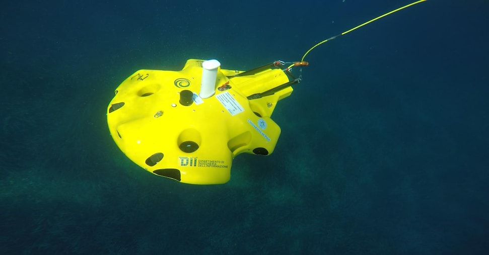 Set 8 Proteggi Cavi Animali Marini - Per IPhone, Android, IPad E Altri Dispositivi