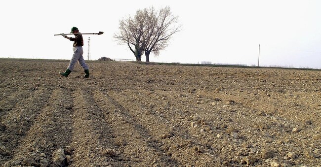 10-3-2000 Mantova Nella foto: la terra seccata dalla siccità nelle campagne