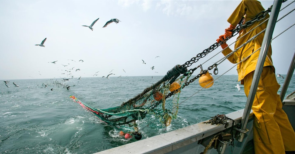 Fermo pesca più flessibile: sceglieranno i pescatori quando farlo