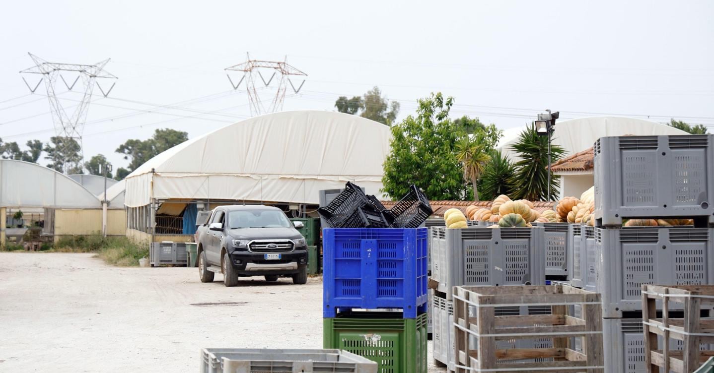 Caporalato, nelle campagne italiane 230mila lavoratori sfruttati 
