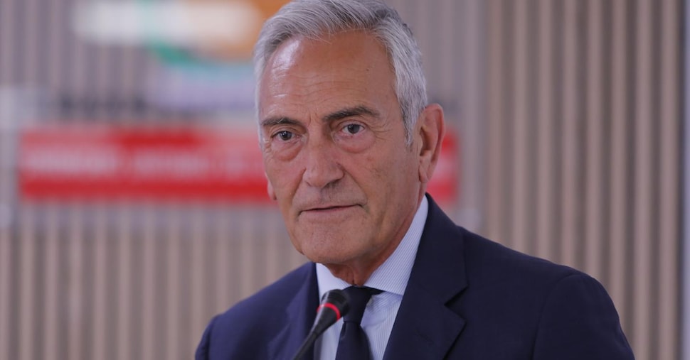 Dopo il tracollo con la Svizzera Gravina conferma Spalletti e non si dimette Dopo il tracollo con la Svizzera Gravina conferma Spalletti e non si dimette