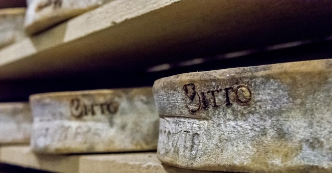 Il Bitto Dop si presta alla stagionatura
