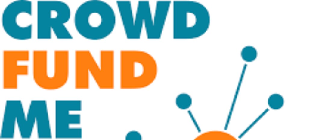 Crowdfundme borsa on sale