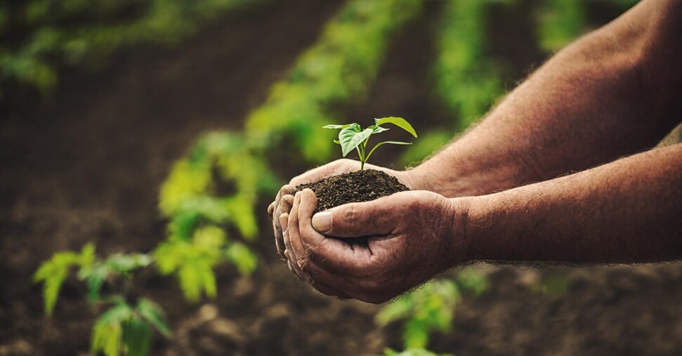 Il gruppo Davines premia l’agricoltura biologica rigenerativa e l’agroecologia