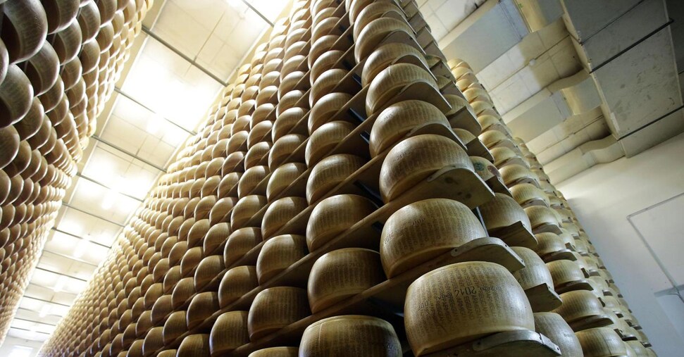 Formaggi Dop, cresce il peso del Parmigiano di Montagna