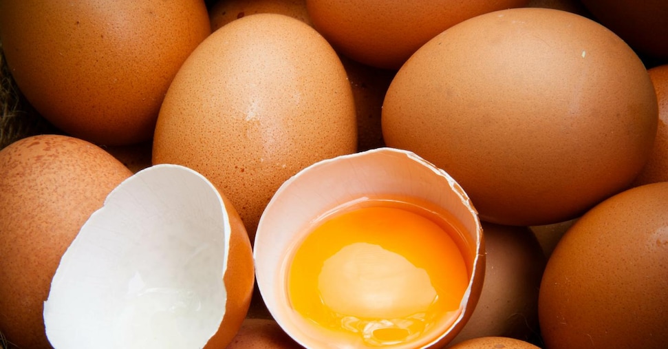 Salute, studio: cambiamento clima aumenta rischi intossicazioni da Salmonella