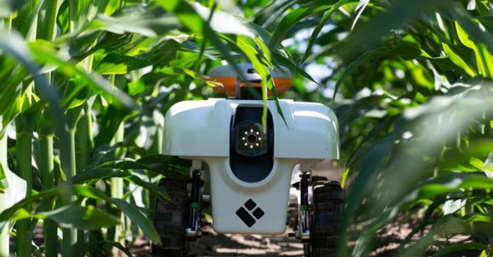 Robot, sistemi di riciclo e satelliti così cambia il lavoro nei campi Robot, sistemi di riciclo e satelliti così cambia il lavoro nei campi