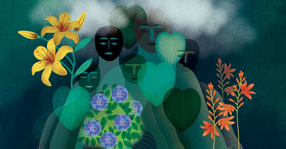 Lettera dall’isola dei giganti – Il Sole 24 ORE