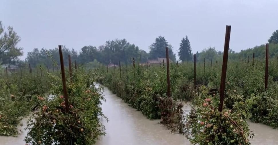 I rischi nel food: le variabili più pericolose sono clima e reputazione I rischi nel food: le variabili più pericolose sono clima e reputazione