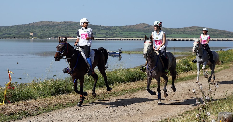 Dal Sardegna Endurance Festival nasce l’Ippovia della Costa verde Dal Sardegna Endurance Festival nasce l’Ippovia della Costa verde